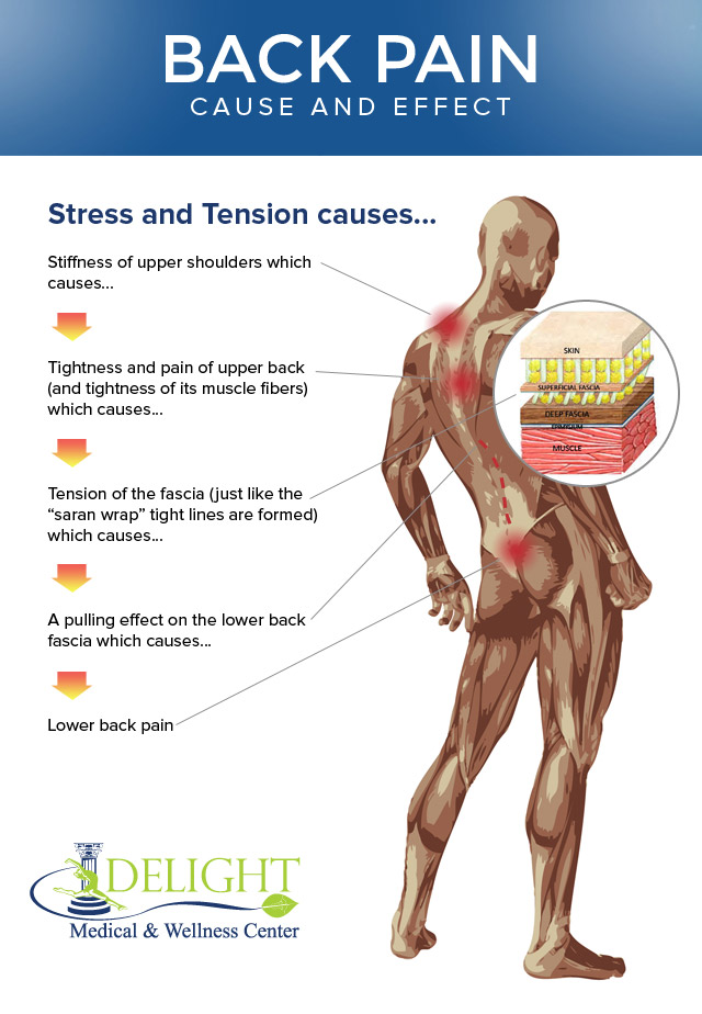 Home-based fundamental approach to alleviate low back pain using myofascial  release, stretching, and spinal musculature strengthening during the  COVID-19 pandemic - IOS Press