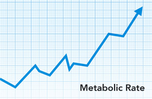 Metabolic rate