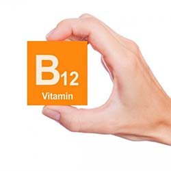 Holding vitamin B12